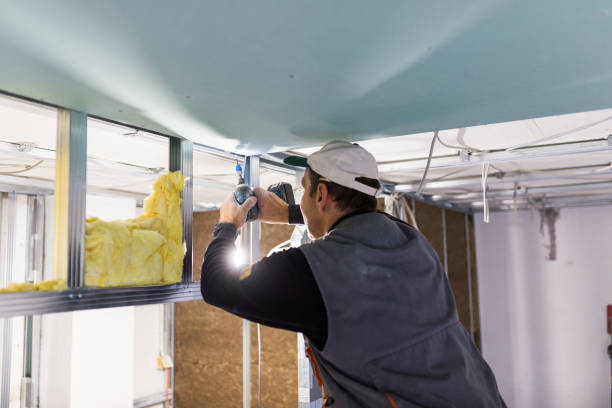 Best Insulation Maintenance and Repair in Wellington, KS